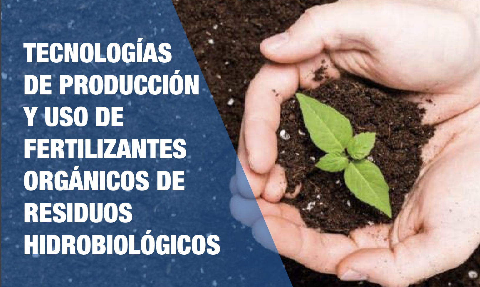 Boletín Informativo EC001-2022