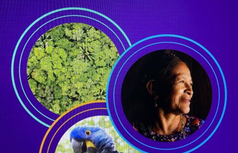 Economía circular en ALC: una visión compartida