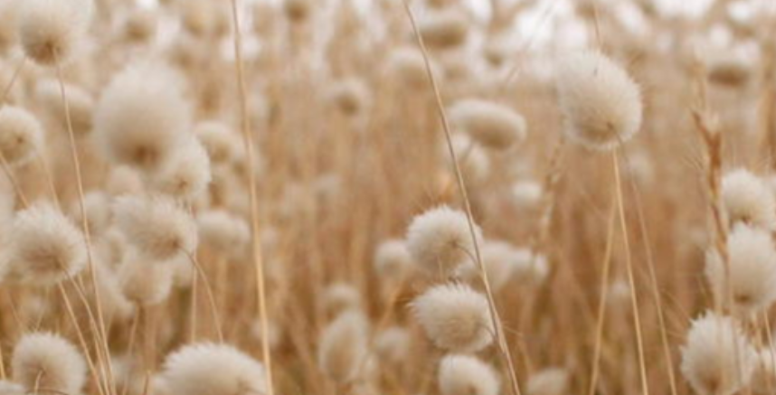 Textiles circulares. Hacer de la moda una industria sostenible