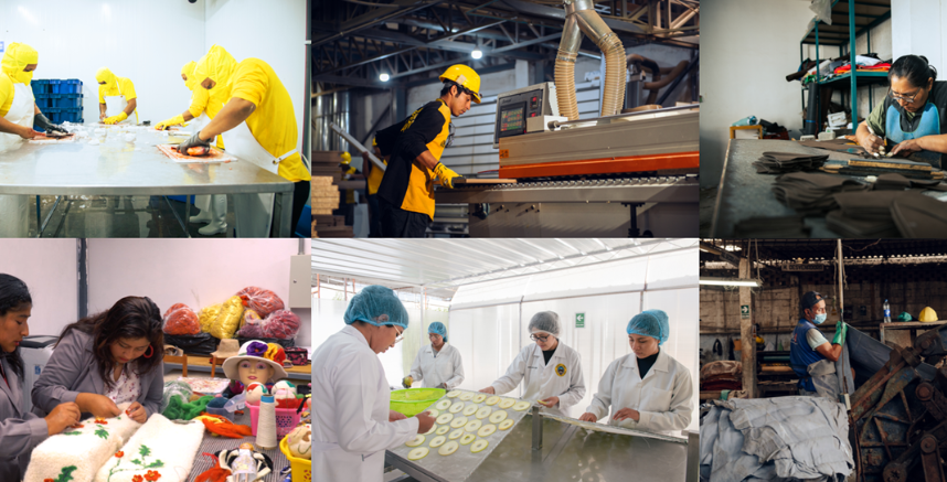 Estudios y análisis relacionados a Economía Circular en la Industria Manufacturera