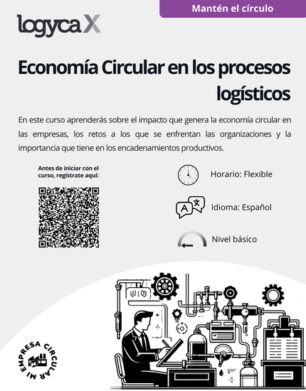 Curso 8