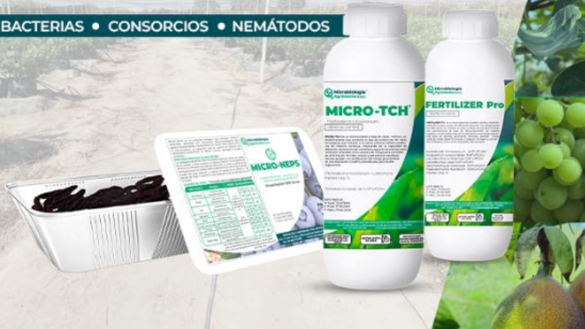 Microagro: soluciones eco amigables para la agricultura