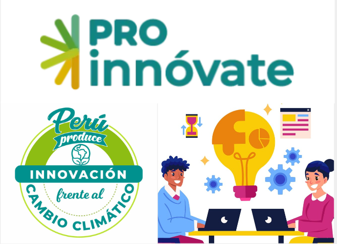 Innovación Empresarial para Microempresas