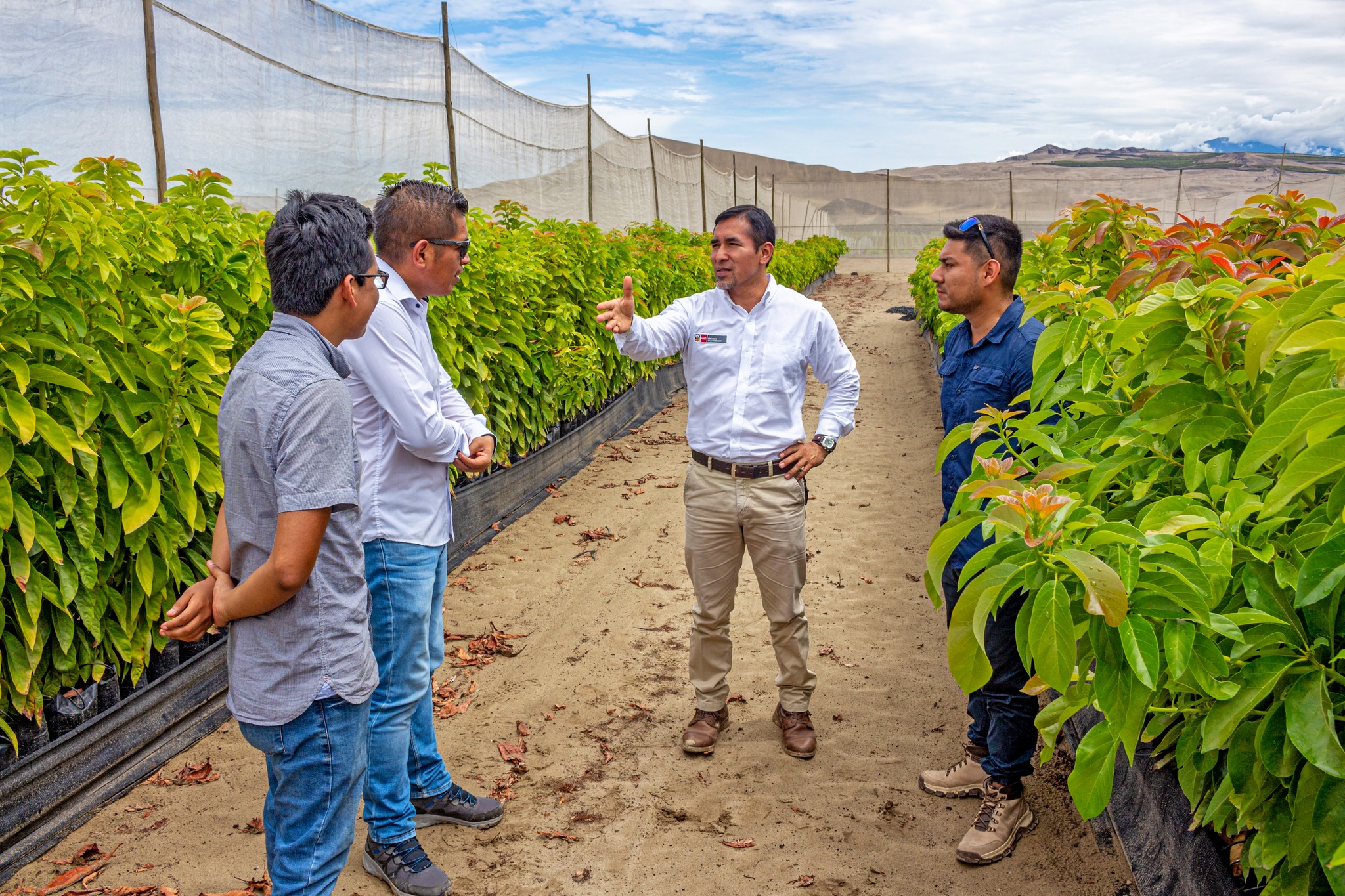 Asistencia Técnica Específica en Gestión de residuos agroindustriales con enfoque circula