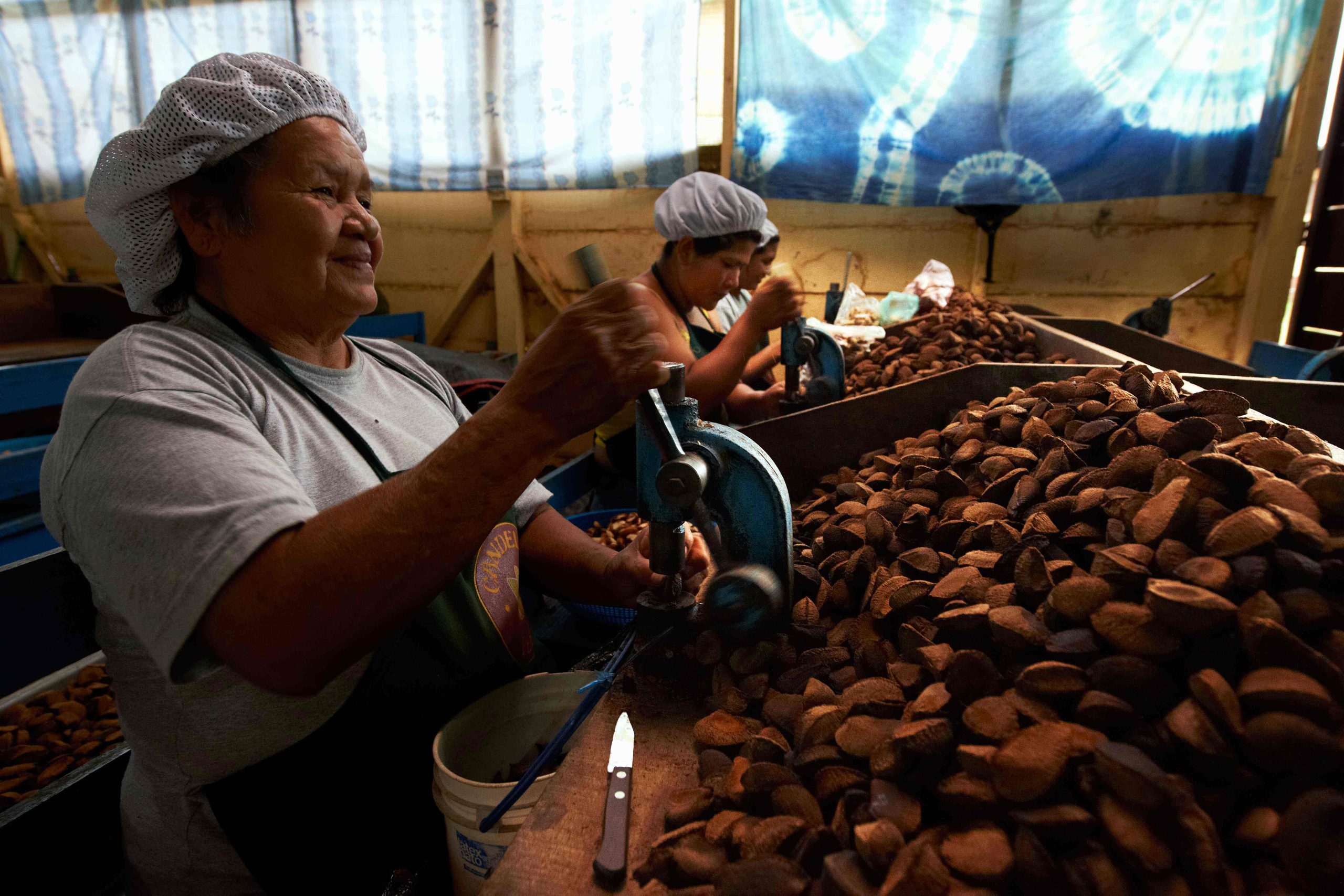 Capacitación Básica en Certificaciones y estándares circulares y sostenibles