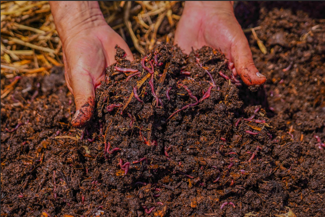 Capacitación Básica en Gestión de residuos agroindustriales