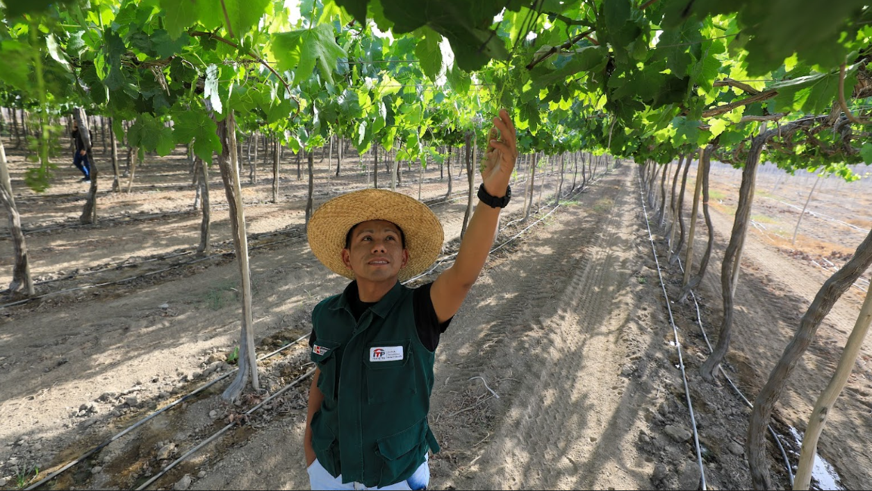 Capacitación básica en Modelos de Negocios Circulares